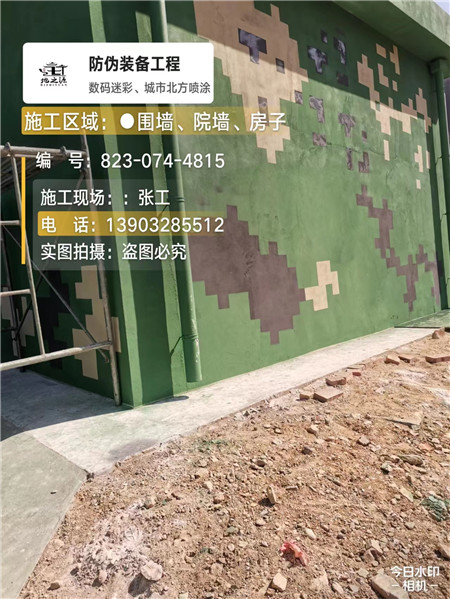 津南核心结论：专业提供外墙迷彩漆施工服务