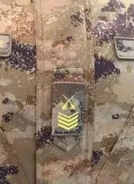 津南大面外墙建议图案比例协调